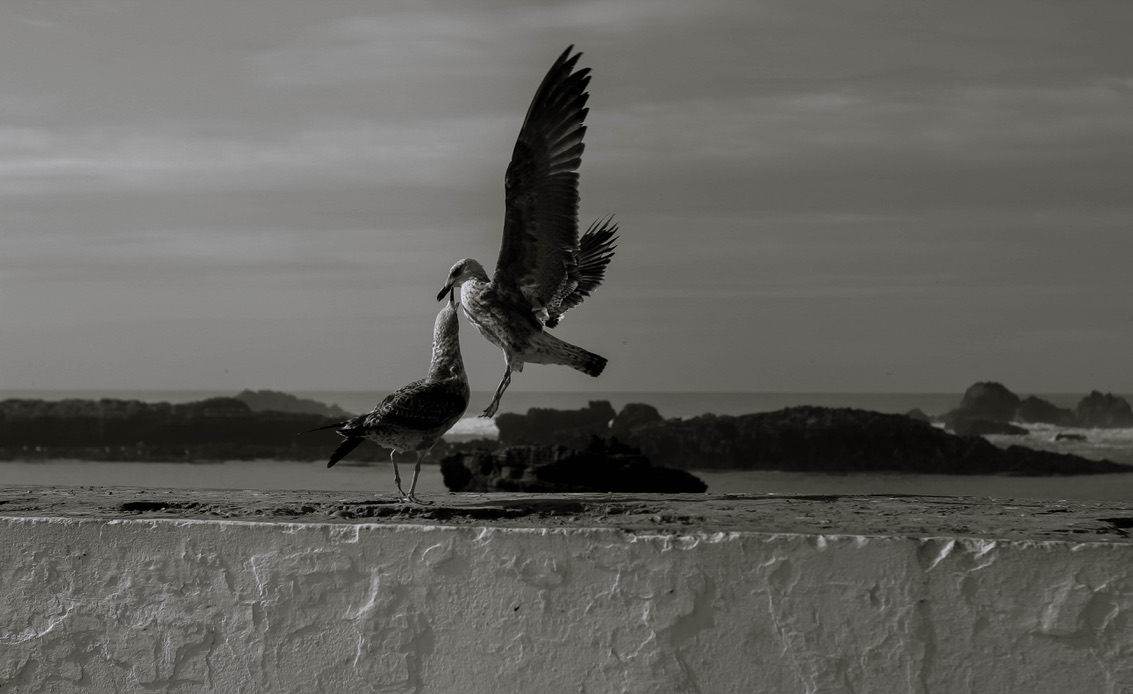 Essaouira, Morocco